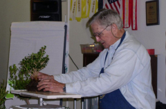 rs-12-1st-clump-tied-down