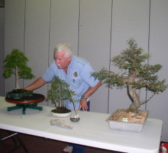 rs-12-ernie-ricks-trees-3