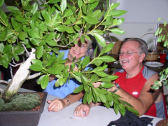 rs-12-judy-peek-a-boo-david