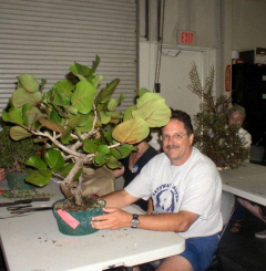 rs-13-rick-sea-grape-before