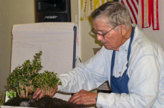 rs-20-stones-in-place