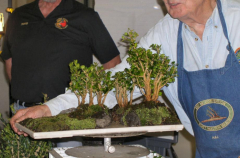 rs-23-finished-sai-kei