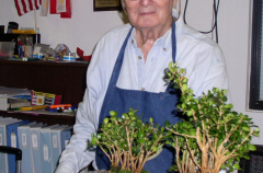 rs-25-finished-sai-kei