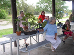 rs_27_judy_and_ficus