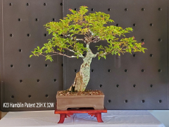 23-Hamblin-Patent-25H-X-32W