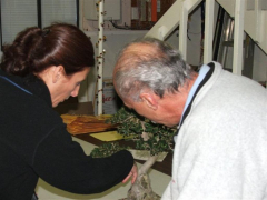 bsswfl jan2011 86 lg